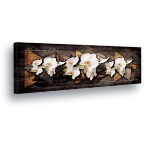 Obraz na plátne - White Flower Decoration in Gray-Brown Background II 45x145 cm
