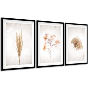 Gario Obraz v ráme Dry nature Rozmery (š x v): 135 x 63 cm, Farba rámu: Biela