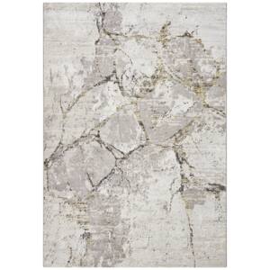 Mint Rugs - Hanse Home koberce Kusový koberec Opulence 104715 Silvergrey-gold - 80x150 cm