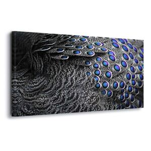 Obraz na plátne - Mystic Feathers 4 x 30x80 cm