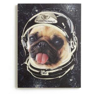 Arthouse Obraz na plátne - Space Pug