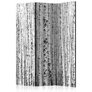 Paraván Birch forest Dekorhome 135x172 cm (3-dielny)