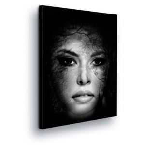 Obraz na plátne - Face Women in Black 80x60 cm
