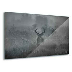 Sklenený obraz - Stag In The Mist 4 x 30x80 cm