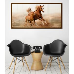 Obraz Hnedé Kone na zrkadle Mirrora 39 - 50x100 cm (Obrazy Mirrora)