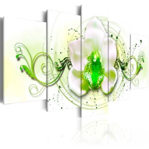 Obraz na plátne Bimago - Orchid - green expression 100x50 cm