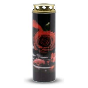 Náhrobná sviečka Ruža červená, 6 x 21 cm, 225 g