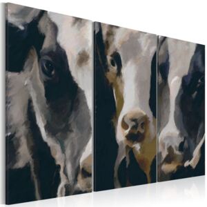 Obraz na plátne - Piebald cow 60x40 cm