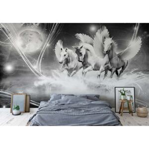 Fototapeta - Winged Horses Pegasus Black And White Vliesová tapeta - 208x146 cm