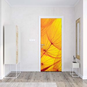 GLIX Fototapeta na dvere - Orange Dandelion
