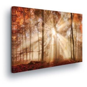 Obraz na plátne - Brown Glow in the Woods 2 x 30x80 / 3 x 30x100 cm