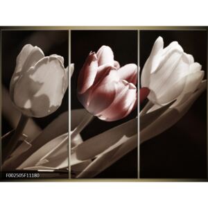 Obrazy - kvety (F002505F11180)