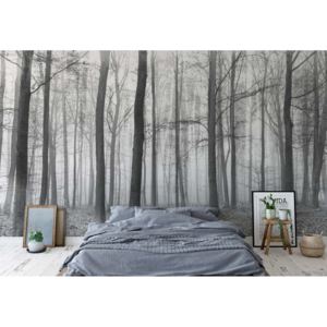 Fototapeta - Black And White Misty Forest Vliesová tapeta - 250x104 cm