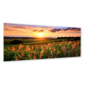 Obraz na skle Styler - Sunset Meadow 125x50 cm