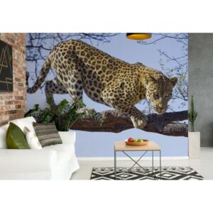 Fototapeta - Leopard Tree Papírová tapeta - 254x184 cm