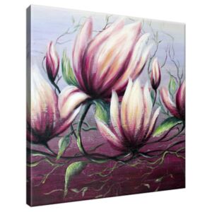 Obraz na plátne Kvety magnólie 30x30cm 2382A_1AI