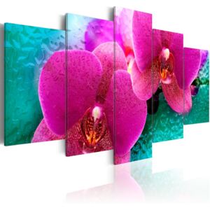 Obraz na plátne - Exotic orchids 100x50 cm