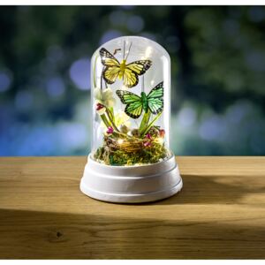 Magnet 3Pagen Dekoratívne sklo s LED a motýľmi