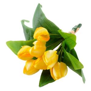 Zväzok tulipán žltý