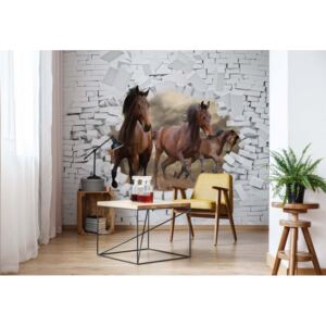 Fototapeta GLIX - 3D Horses Jumping + lepidlo ZADARMO Vliesová tapeta - 254x184 cm
