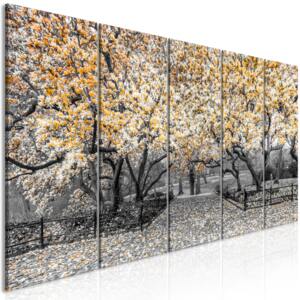 Obraz - Magnolia Park (5 Parts) Narrow Orange 200x80
