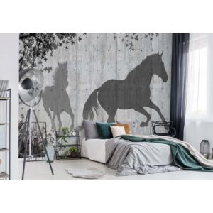 Fototapeta - Horses Silhouette Grey Papírová tapeta - 184x254 cm