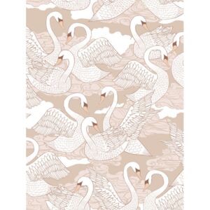 Ilustrácia Swans - Cotton, The Artcircle