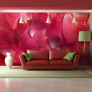 Fototapeta Bimago - Růžové okvetní lístky růží + lepidlo zadarmo 200x154 cm