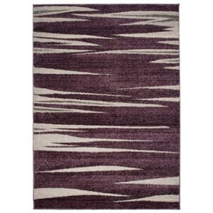Luxusný kusový koberec piesočné duny fialový, Velikosti 60x100cm