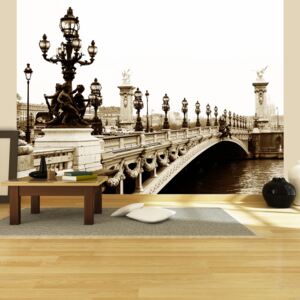 Fototapeta - Alexander III Bridge, Paris 200x154 cm