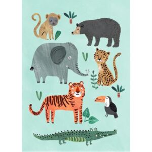 Plakát Wild Animals 50 x 70 cm