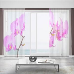 Záclony Ružová orchidea (Rozměr záclony: 150x250)