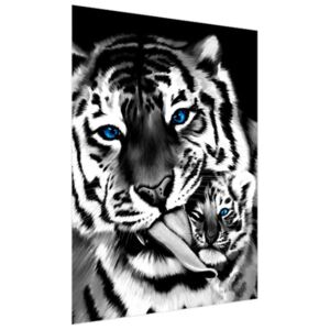 FototapetaČiernobiely tiger a tigrík 150x200cm FT2574A_2M