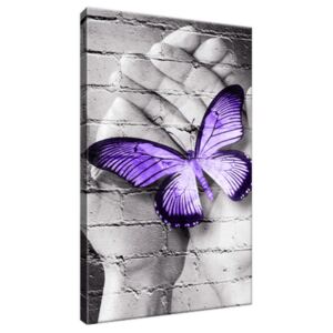 Obraz na plátne Fialový motýľ na dlaniach 20x30cm 2389A_1S