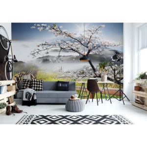 Fototapeta - Cherry Blossom Mountain Path Vliesová tapeta - 206x275 cm