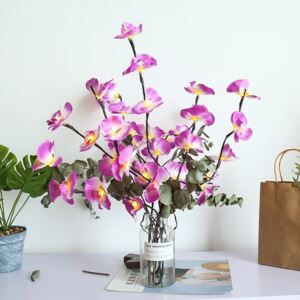 GFT Svietiace vetvičky orchidey