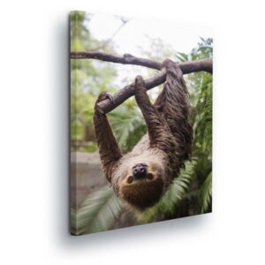 Obraz na plátne - Sloth 4 x 30x80 cm