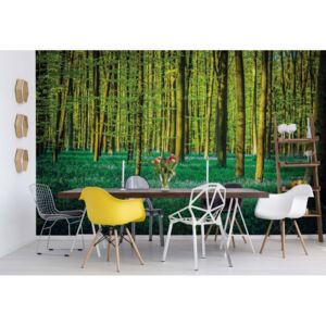 Fototapeta - Green Forest Trees Papírová tapeta - 184x254 cm