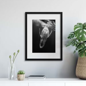 Rámovaný obraz GLIX Black & Whale by Barathieu Gabriel 50x70 cm