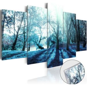 Obraz na skle Bimago - Blue Glade 100x50 cm