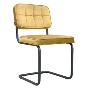 Zamatová zlatá jedálenská stolička Capri - 49*82*57 cm