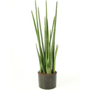 Umelá sansevieria (svokrin jazyk, baton plant) V99 cm