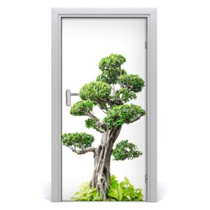 Fototapeta samolepiace bonsai