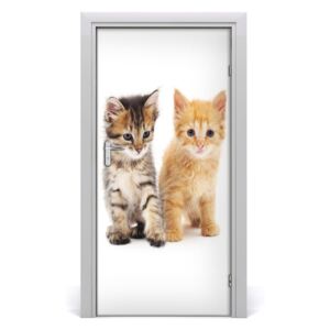 Samolepiace fototapety na dvere Sivá a červená mačka