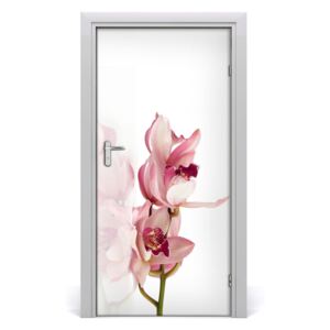 Fototapeta na dvere ružová orchidea