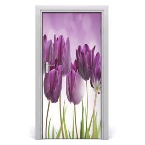 Fototapeta samolepiace fialové tulipány