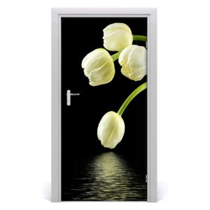Fototapeta samolepiace biele tulipány