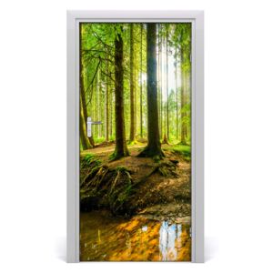 Fototapeta na dvere Strumień w lasi