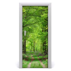 Fototapeta na dvere samolepiace zelený les