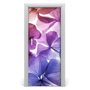 Fototapeta na dvere fialové kvety